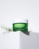 Dr. Ceuracle TEA TREE PURIFINE CREAM